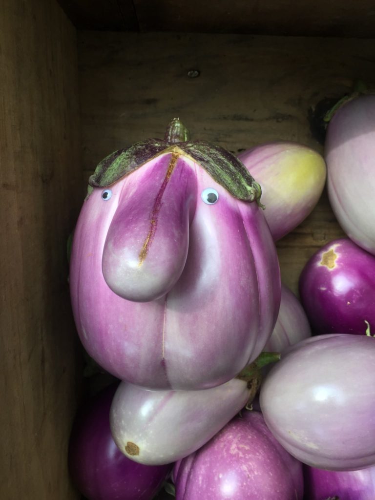 Mr. Eggplant Head, spotted at Deering Oaks Farmer's Market, Portland Maine.