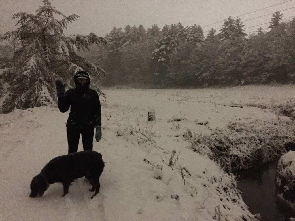 Snowfall, Portland, Maine - Thanksgiving 2014